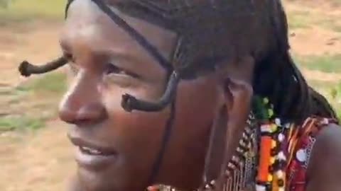 In the Sudanese lizard tribe, men beat their ears to attract women: ((