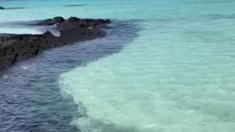 Blue sea and transparent water