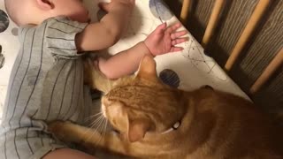 Cute Kitty Massages Baby's Belly