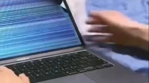 Funny Cat See how Hi Breaking Laptop