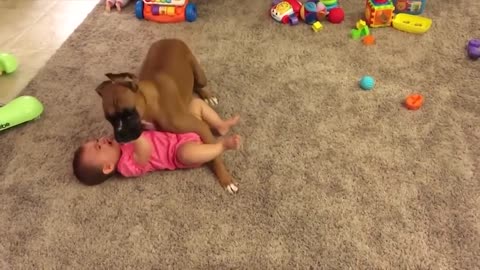 Dogs And Babies Are Best Friends