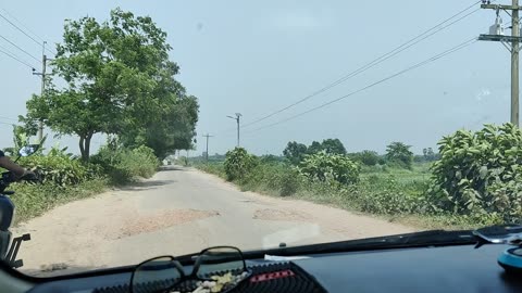 RURAL, SUNNY SAY, VILLAGE ROAD, NATURE