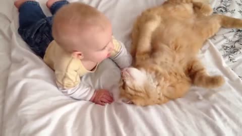 babies meeting kitten for the first time