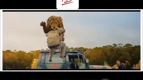 lion Attack On Man