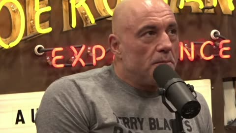 Joe Rogan Says Elon Musk ‘May Have Very Well Saved Humanity’