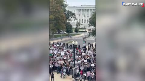 TheDC Shorts - Marjorie Taylor Greene Livestreams 'Insurrection' At Cannon Building