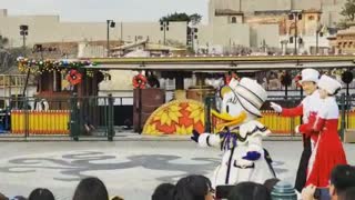 Best Walt Disney ' Ducks Show ' Show On Streets