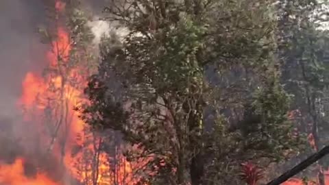 Lava Flowing in Hawaii