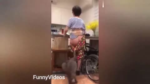 Cat pulling down pants of woman