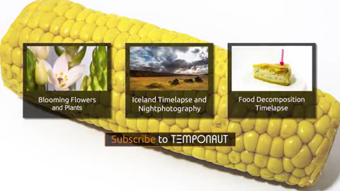 Timelapse Corn Cob