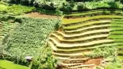 NATURAL BEAUTY. RAIN FALLING IN A BEAUTIFUL NATURAL VILLAGE VILLAGE, WEST JAVA RURAL ATMOSPHERE