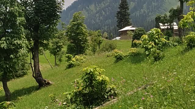 Beautiful Kashmir.