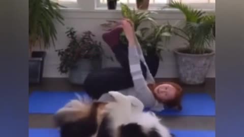 Doggo does yoga with owner! Cutest doggy yoga!