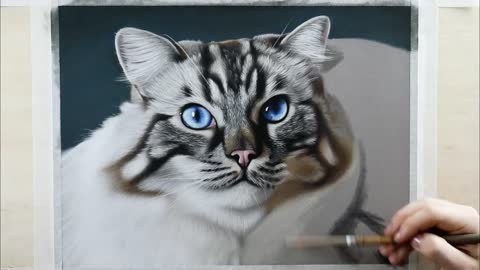 REALISTIC CAT DRAWING _ Color Pastel Pencil Animal Art - Time-Lapse