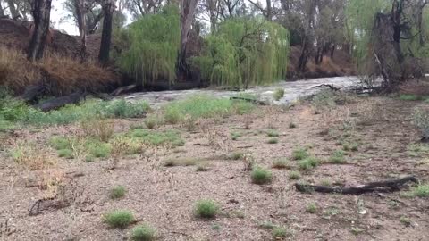 Namoi River Reborn After Heavy Rain