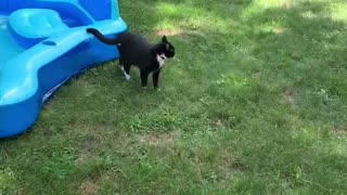 Madeline prefers pool water