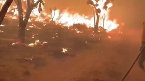 Firefighters fight to put out Dome Fire in Mojave National Preserve