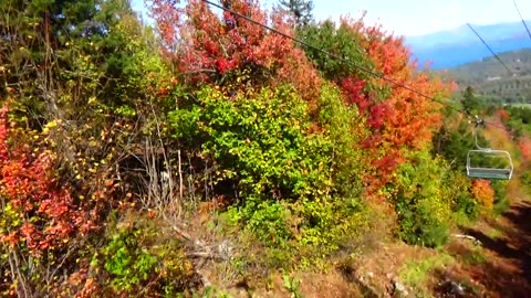 Fall Foliage