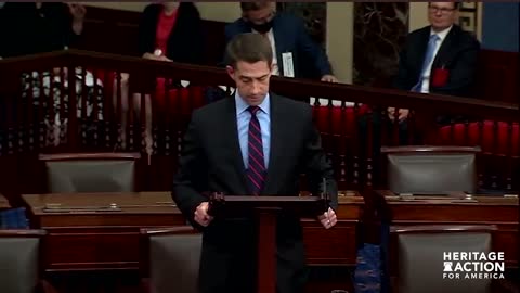 Senator Cotton's Amendment Rejects CRT