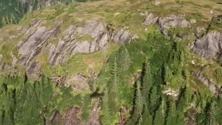 Seaplane flying over Fjords