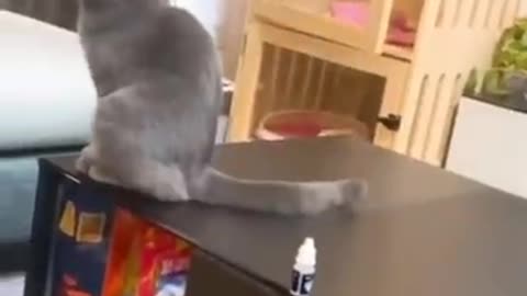 Smart CAT