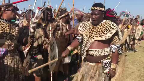 African Zulu wariors