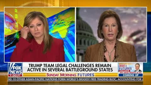 MILLIONS OF VOTES INVALID: Sidney Powell says Trump team has enough evidence to flip multiple states