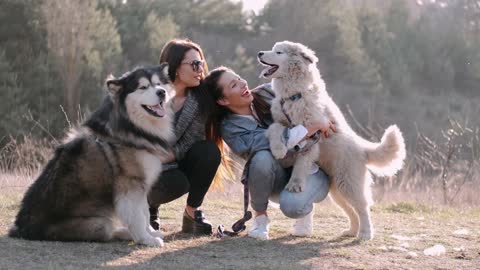 Ladies Holding Their Dogs