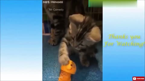 Funny Pet Videos 2022 🐶 😁🤣