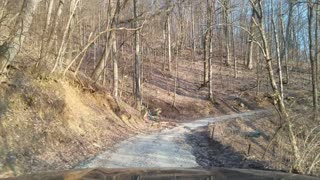 Tennessee Mountain Back Road