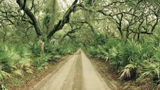 Cumberland Island, Georgia