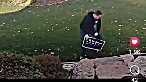 Electrified Trump Sign