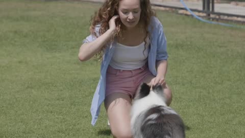 Dog training at ground a girl