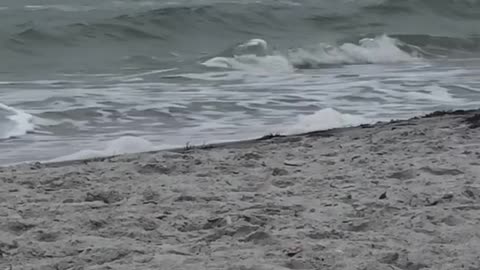 Guy black swim shorts trying to catch small waves