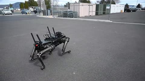 New Robot Dog for the U.S Army!