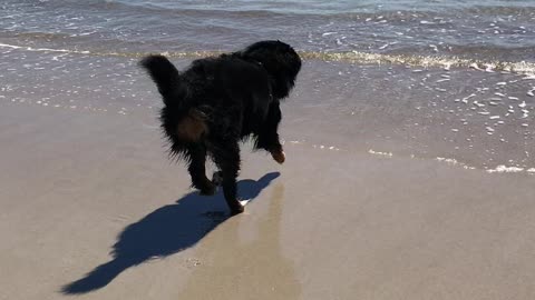 Summit Loves the Beach!