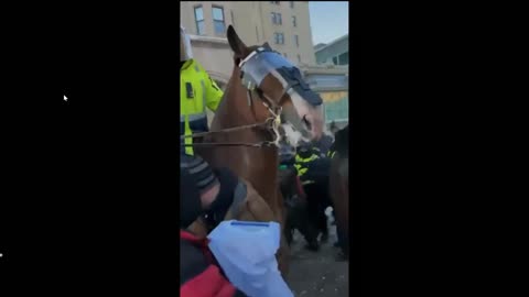 Pisoteado por los caballos de la policía en Ottawa