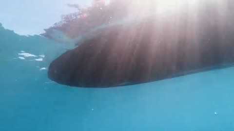 Spearfishing from a jetsk short