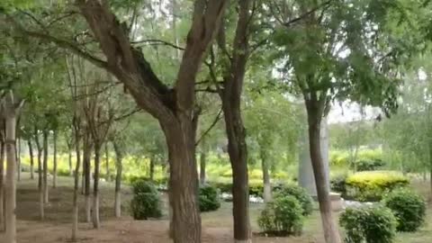 Small park near home with beautiful scenery