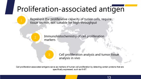 Cell Proliferation Assay