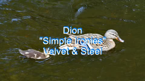 Dion - Simple Ironies #139