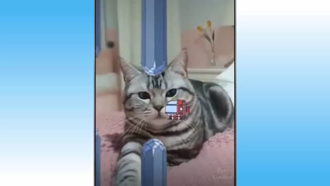 Funniest Pets 😹 Don't try to hold back Laughter 🤣🤣 #97 Pets Garden