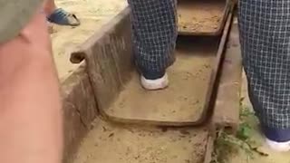 Rescuing a Trapped Puppy from under a Heavy Bar