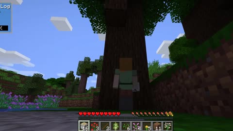 Minecraft 1-1.16.5 A new beginning Shorts 1