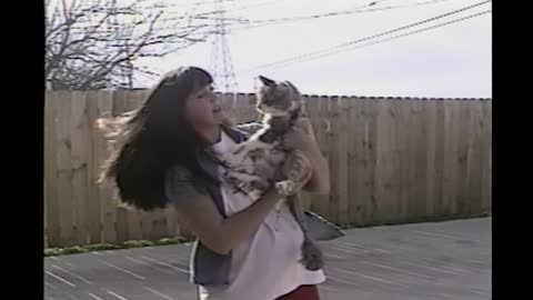 Cat Keeps Slapping Woman Who Just Wants His Love