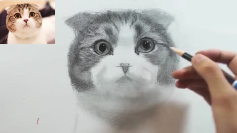 The detailed drawing process of sketching cats is easy to learn8