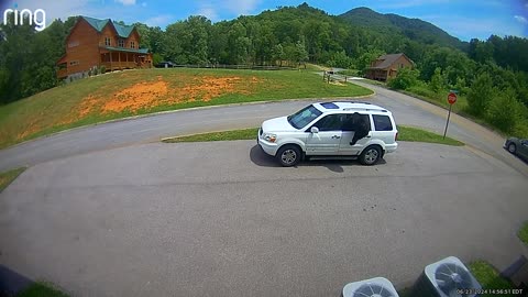 Black Bear With Five Cubs Breaks Into Car