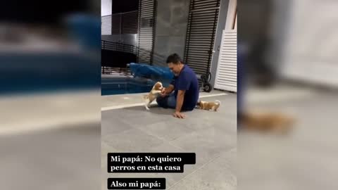 Para morir de la risa animales 🤣🤣