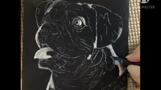 Ernie - Boxer Portrait WIP, Video 1