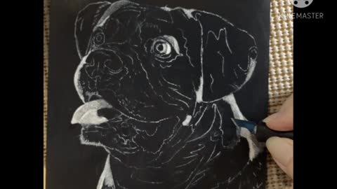 Ernie - Boxer Portrait WIP, Video 1